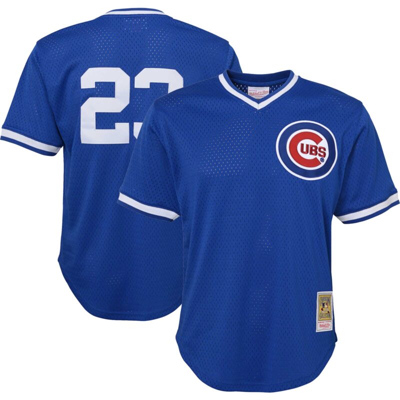 Ryne Sandberg Chicago Cubs Mitchell & Ness Youth Cooperstown Collection?Mesh Batting Practice Jersey - Royal